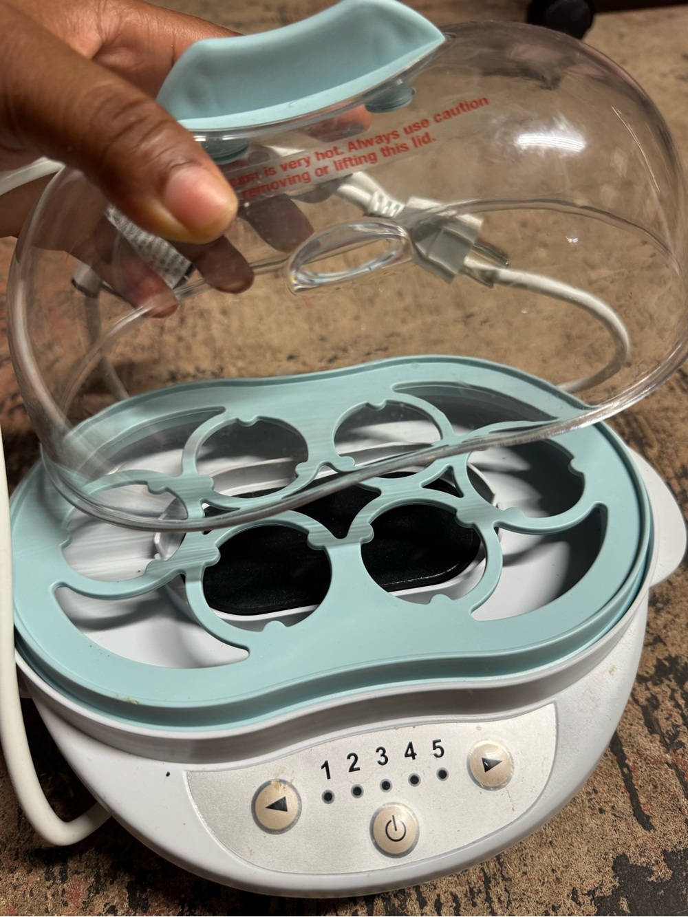 Electric Egg Cooker in Seafoam Green